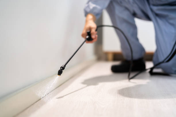 Certified termite inspector examining foundation in Farmer City